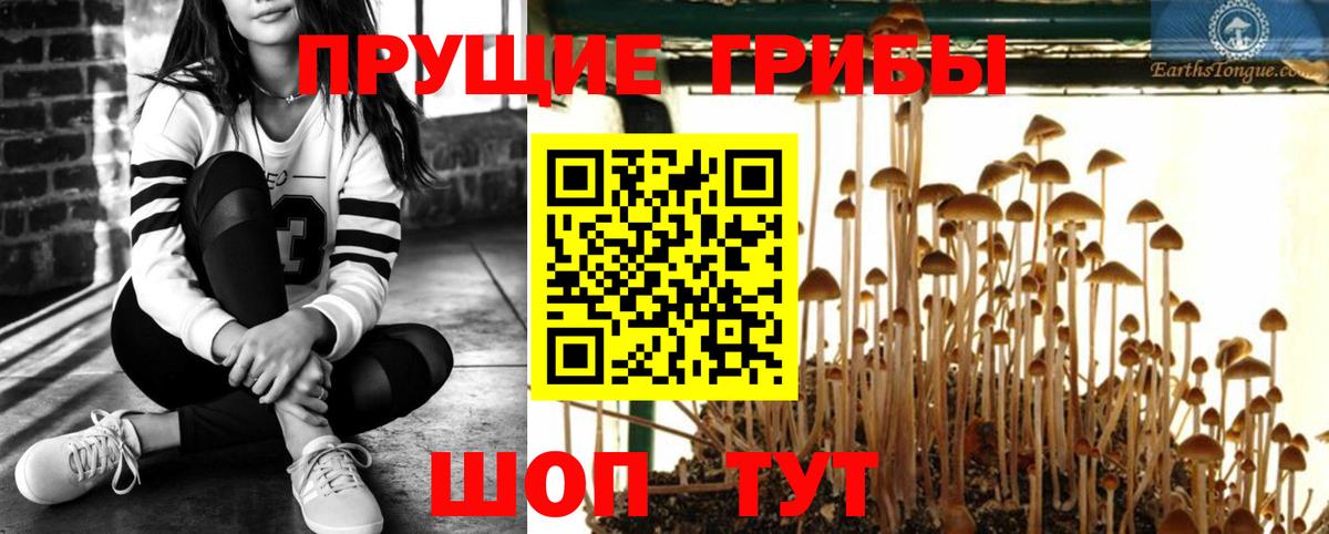 Галлюциногенные грибы мухоморы  Галлюциногенные грибы Psilocybine cubensis  Ейск  Вход с VPN 