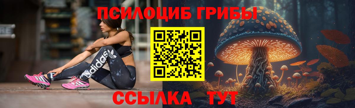 Галлюциногенные грибы мицелий Ейск